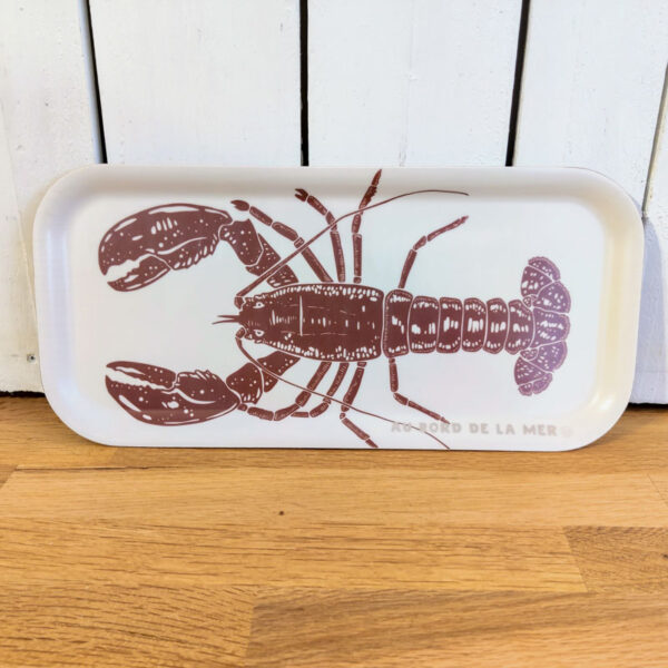 plateau homard rouge au bord de la mer sophie janiere